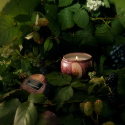 Foraged Wildberry|Voluspa Sale