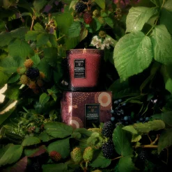 Foraged Wildberry|Voluspa Online