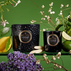 Jardin De Verveine|Voluspa Discount