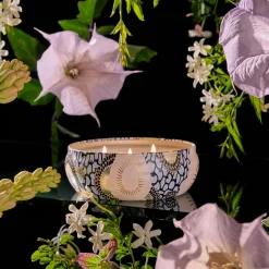 Jasmine Midnight Blooms|Voluspa Best