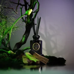 Palo Santo Spells|Voluspa Outlet