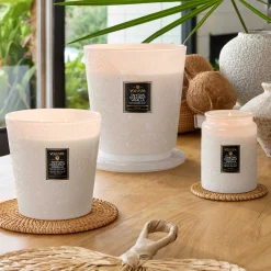 Tahitian Coconut Vanilla|Voluspa Outlet