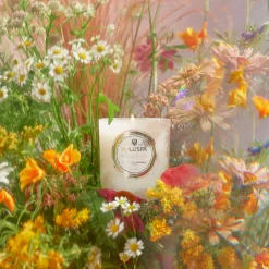 Wildflowers|Voluspa Online